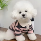Zomer Poloshirt voor Honden – Ademend Katoen & Sportieve Streep