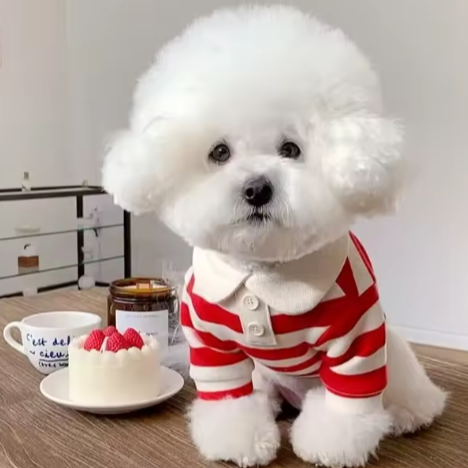 Zomer Poloshirt voor Honden – Ademend Katoen & Sportieve Streep
