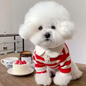 Zomer Poloshirt voor Honden – Ademend Katoen & Sportieve Streep