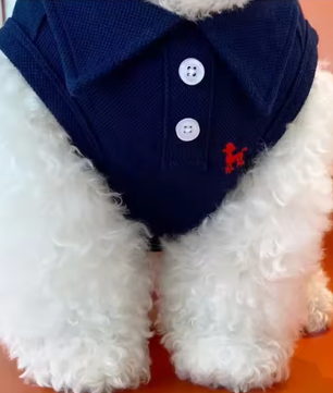 Zomer Poloshirt voor Honden – Ademend Katoen & Sportieve Streep