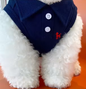 Zomer Poloshirt voor Honden – Ademend Katoen & Sportieve Streep