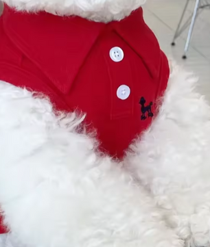 Zomer Poloshirt voor Honden – Ademend Katoen & Sportieve Streep