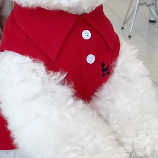 Zomer Poloshirt voor Honden – Ademend Katoen & Sportieve Streep