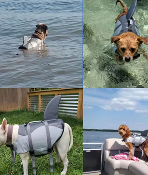 Honden Reddingsvest – Veilig Zwemvest met Handvat & Haai Design