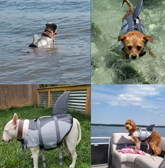 Honden Reddingsvest – Veilig Zwemvest met Handvat & Haai Design