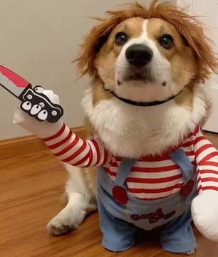 Grappig Hondenkostuum – Creatieve Cosplay Outfit met Mes Accessoire