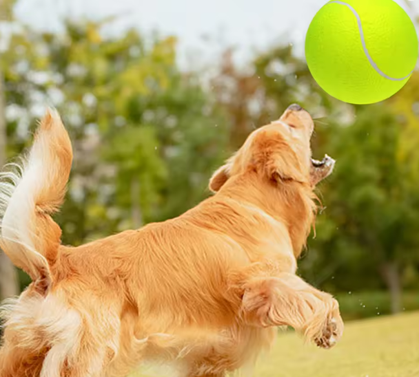 Oversized Opblaasbare Tennisbal 24 cm – Inclusief Pomp voor Hond, Kat & Kinderen