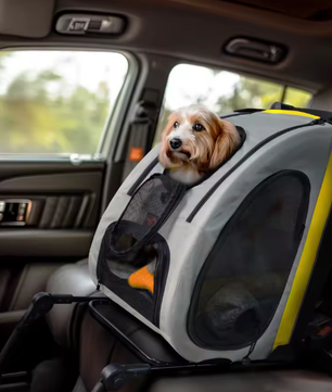 Opvouwbare Honden- en Kattenwagen – 2-in-1 Kinderwagen & Reiskrat