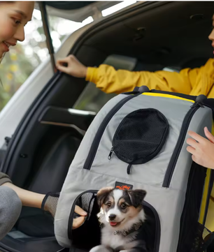 Opvouwbare Honden- en Kattenwagen – 2-in-1 Kinderwagen & Reiskrat
