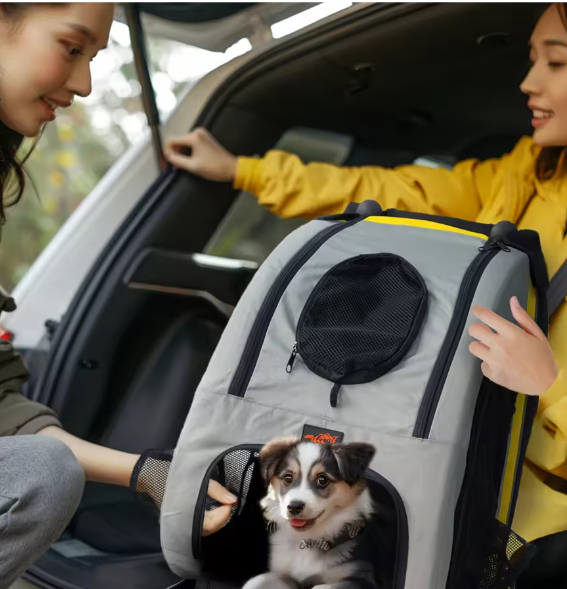 Opvouwbare Honden- en Kattenwagen – 2-in-1 Kinderwagen & Reiskrat
