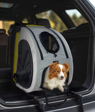 Opvouwbare Honden- en Kattenwagen – 2-in-1 Kinderwagen & Reiskrat