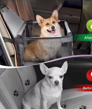 Opvouwbare Autostoelhoes voor Honden – Hangmat & Reismand