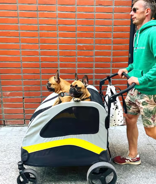 Premium Honden- en Kattenwagen – Opvouwbare 4-Wiel Pet Jogger