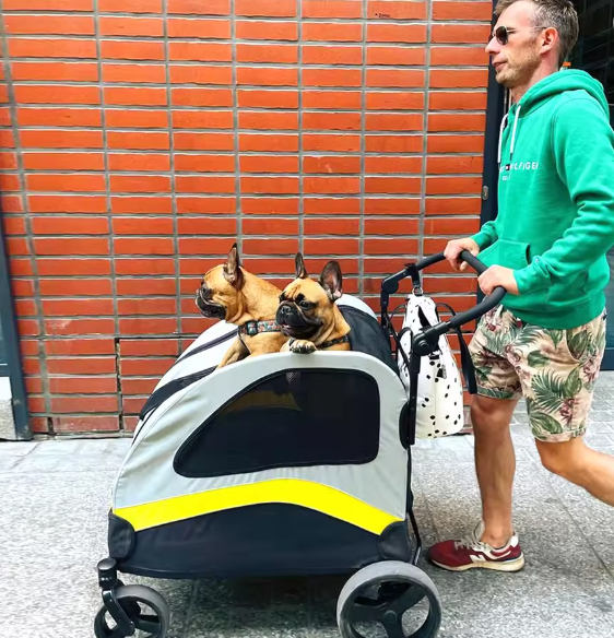 Premium Honden- en Kattenwagen – Opvouwbare 4-Wiel Pet Jogger
