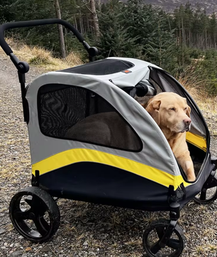 Premium Honden- en Kattenwagen – Opvouwbare 4-Wiel Pet Jogger