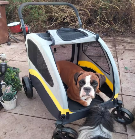 Premium Honden- en Kattenwagen – Opvouwbare 4-Wiel Pet Jogger