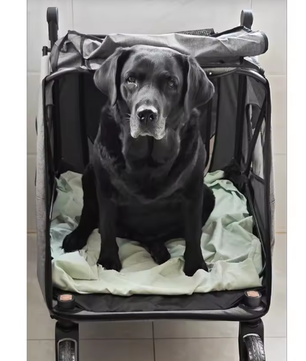 Grote Honden- en Kattenwagen – Opvouwbare Wandelwagen tot 55 kg