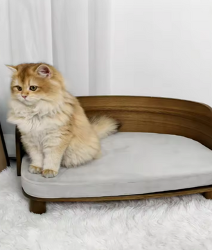 Verhoogd Kattenbed – Houten Bank met Kussen voor Kat of Kleine Hond
