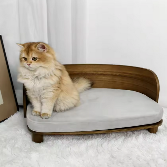 Verhoogd Kattenbed – Houten Bank met Kussen voor Kat of Kleine Hond