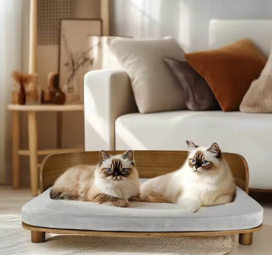 Verhoogd Kattenbed – Houten Bank met Kussen voor Kat of Kleine Hond