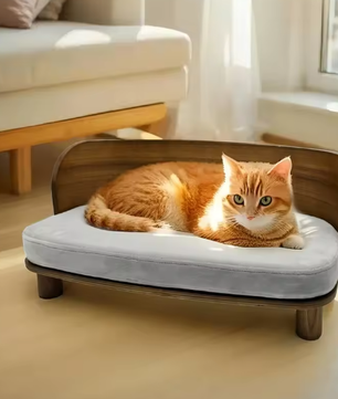 Verhoogd Kattenbed – Houten Bank met Kussen voor Kat of Kleine Hond