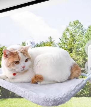 Kattenhangmat – Duurzaam Hangbed voor Katten & Kittens, Binnengebruik
