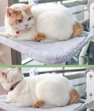 Kattenhangmat – Duurzaam Hangbed voor Katten & Kittens, Binnengebruik