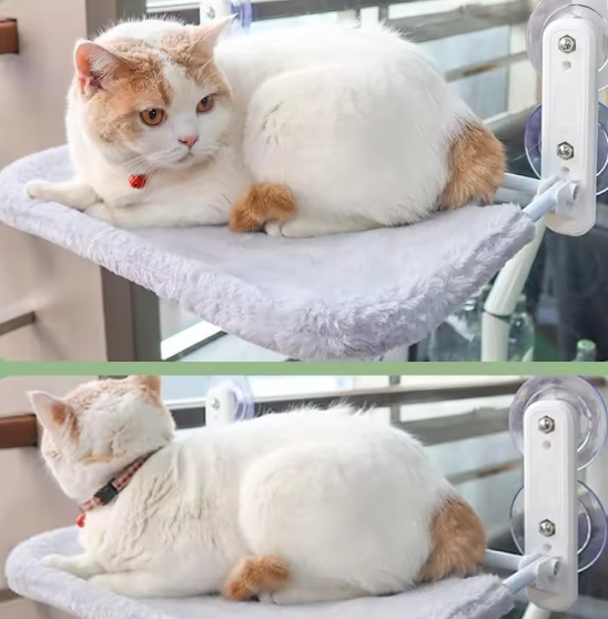 Kattenhangmat – Duurzaam Hangbed voor Katten & Kittens, Binnengebruik