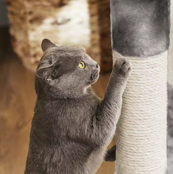 Krabpaal Kattenboom – 120 cm Hoog, 2 Grotten & Uitkijkplatform