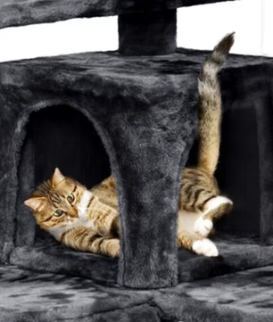 Kattenboom Krabpaal – 132 cm Hoog, Multi-Level & Speelhuis