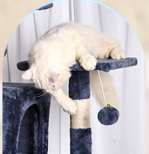 XXL Kattenboom Krabpaal – 5 Lagen, 2 Grotten & Hangmat
