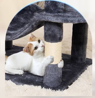 XXL Kattenboom Krabpaal – 5 Lagen, 2 Grotten & Hangmat