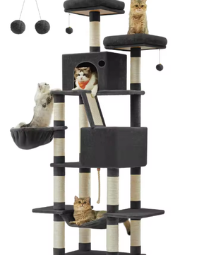 Kattenboom XXL Krabpaal – 206 cm Hoog, 5 Lagen & 13 Krabpalen