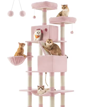 Kattenboom XXL Krabpaal – 206 cm Hoog, 5 Lagen & 13 Krabpalen