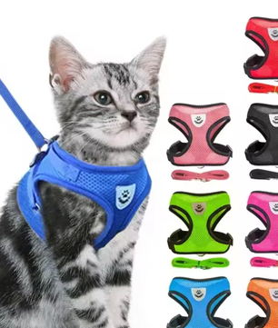 Verstelbaar Katten- en Hondenharnas – Ademend Gaas met Riem 1,2 m