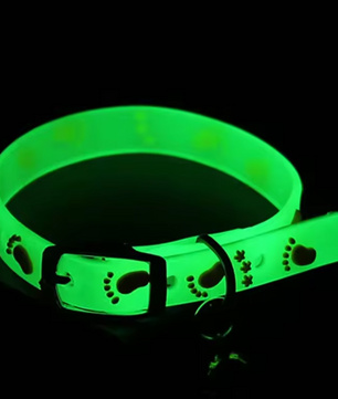 Fluorescerende Kattenhalsband – Siliconen Nekband met Bel & Reflectie
