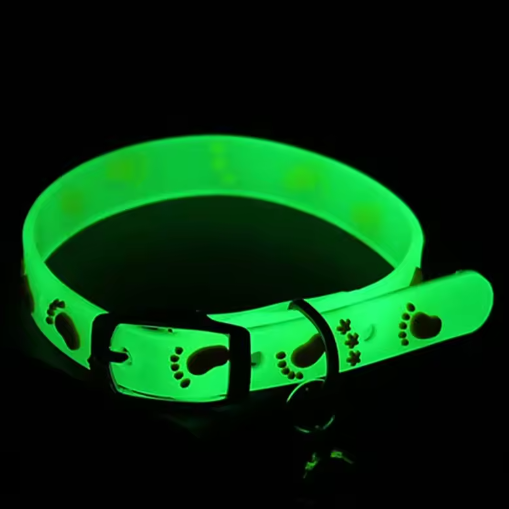 Fluorescerende Kattenhalsband – Siliconen Nekband met Bel & Reflectie