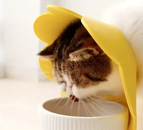Beschermende Huisdierhalsband – Medische Kegel voor Katten & Honden