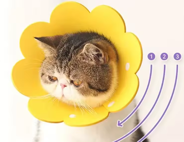 Beschermende Huisdierhalsband – Medische Kegel voor Katten & Honden