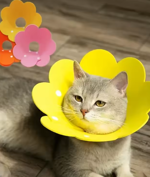 Beschermende Huisdierhalsband – Medische Kegel voor Katten & Honden