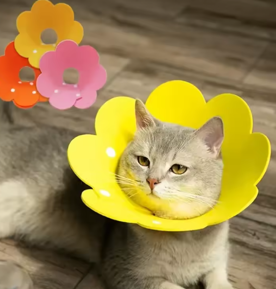 Beschermende Huisdierhalsband – Medische Kegel voor Katten & Honden