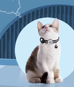 Kattentuig met Bijenthema – Verstelbare Harnas & Riem Set
