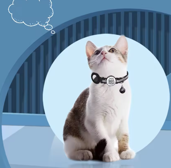 Kattentuig met Bijenthema – Verstelbare Harnas & Riem Set