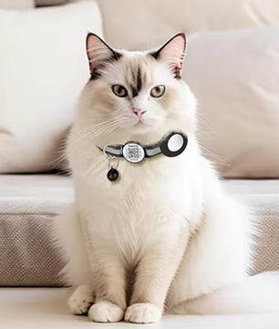 Kattentuig met Bijenthema – Verstelbare Harnas & Riem Set
