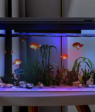 Aquarium Starter Kit – Mini desktop aquarium met filter & LED