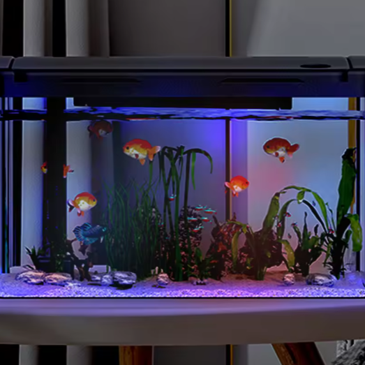 Aquarium Starter Kit – Mini desktop aquarium met filter & LED