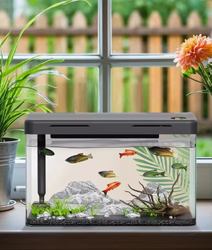 Aquarium Starter Kit – Mini desktop aquarium met filter & LED