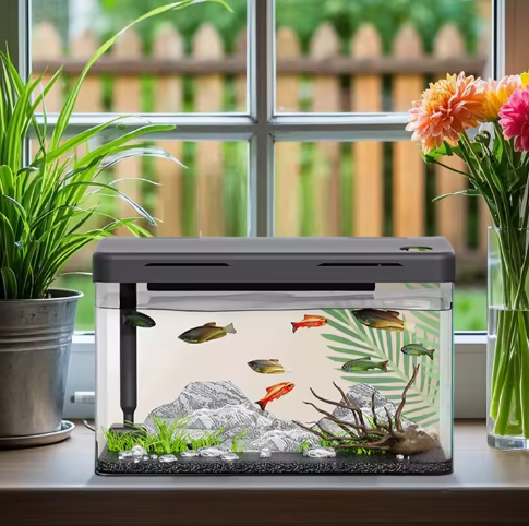 Aquarium Starter Kit – Mini desktop aquarium met filter & LED