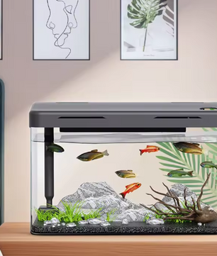 Aquarium Starter Kit – Mini desktop aquarium met filter & LED