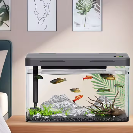 Aquarium Starter Kit – Mini desktop aquarium met filter & LED